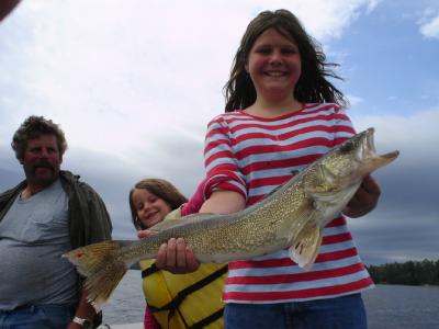 Walleye