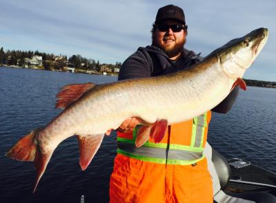 Monster town musky