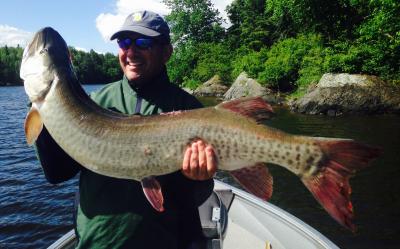 Huge Musky