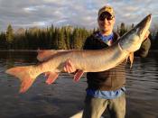 Sunset Musky